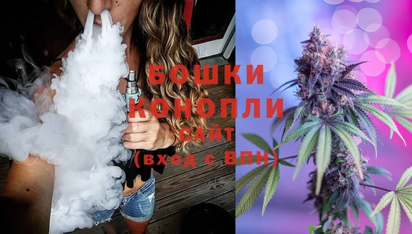 ГАЛЛЮЦИНОГЕННЫЕ ГРИБЫ Горно-Алтайск