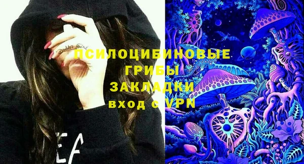 ГАЛЛЮЦИНОГЕННЫЕ ГРИБЫ Горно-Алтайск