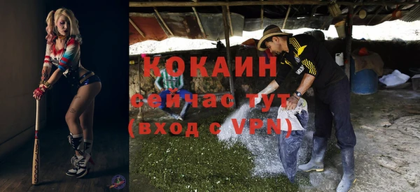 ГАЛЛЮЦИНОГЕННЫЕ ГРИБЫ Горно-Алтайск