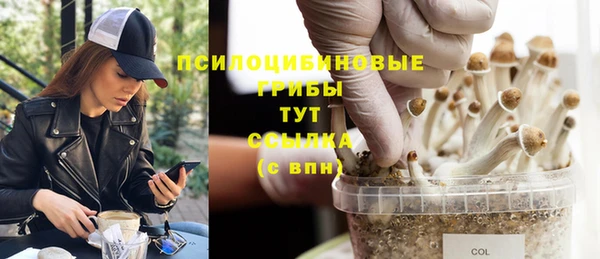 винт Вязьма